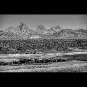 Meet your Posher, Allyn